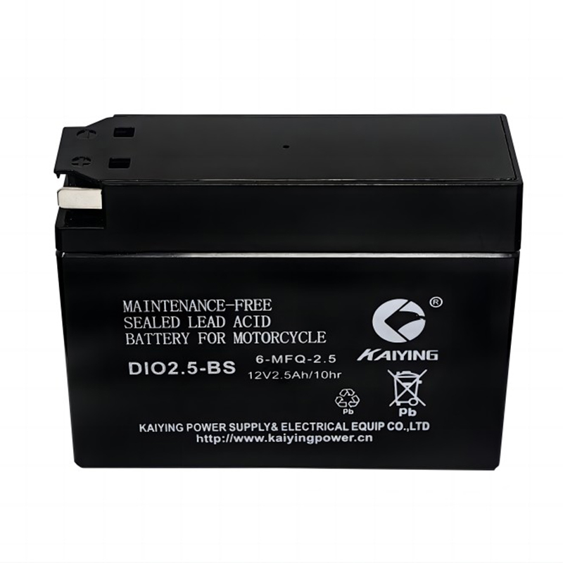 OEM Factory SMF Motorcycle Battery DIO2.5-BS 12V2.5AH Suppliers 