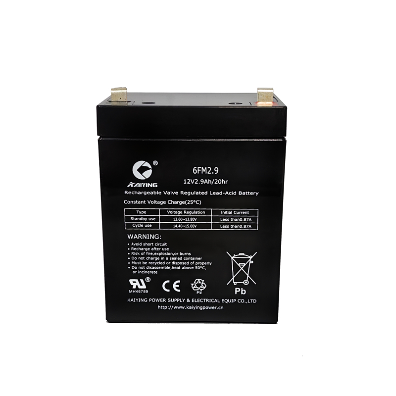 12V2.9Ah Battery 6FM2.9